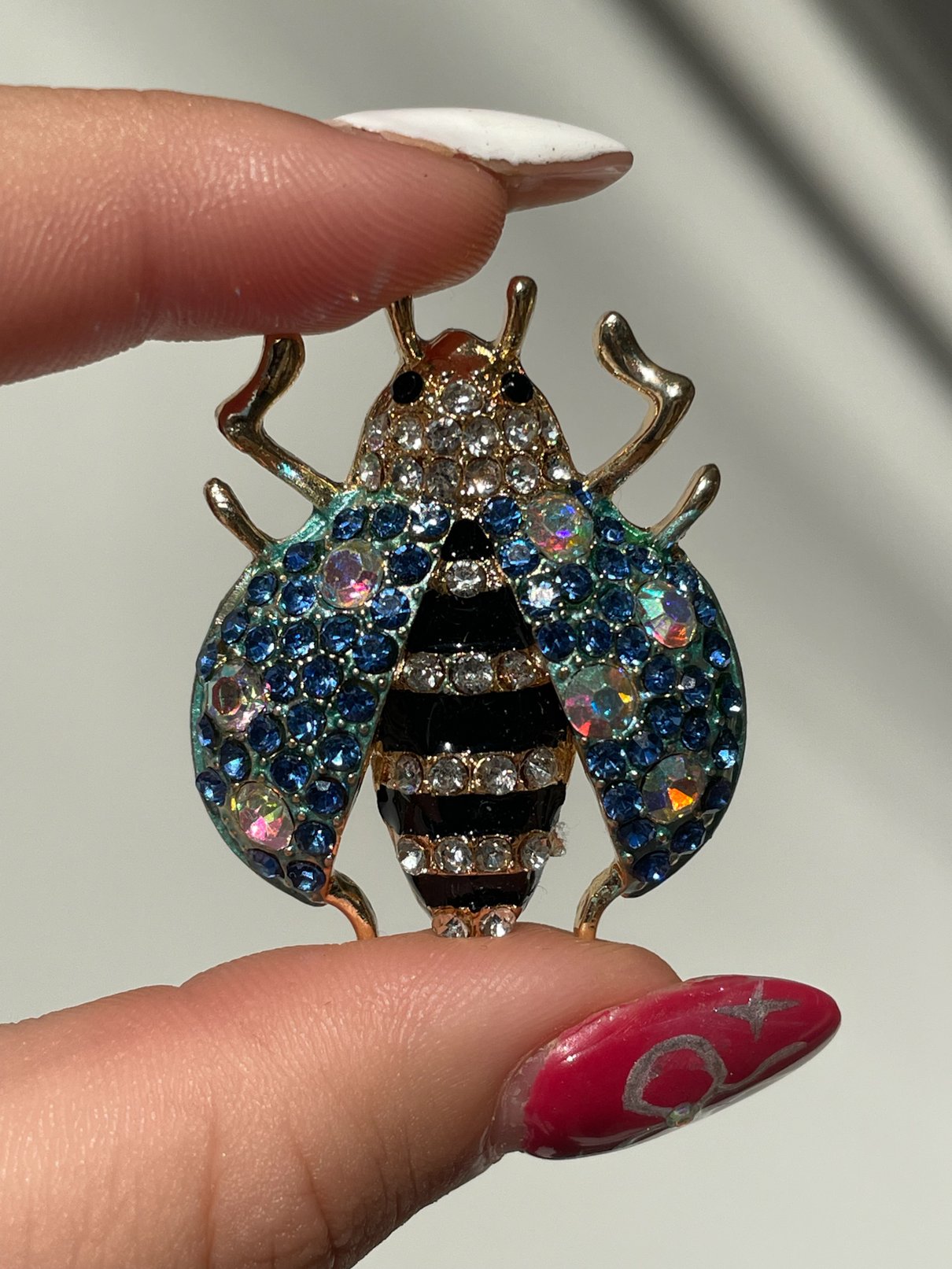 04 broche maxi joaninha